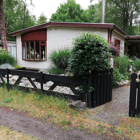 Vila Sfeervol, Ruim En Luxe Chalet In Bosrijke Omgeving Diessen Exteriér fotografie
