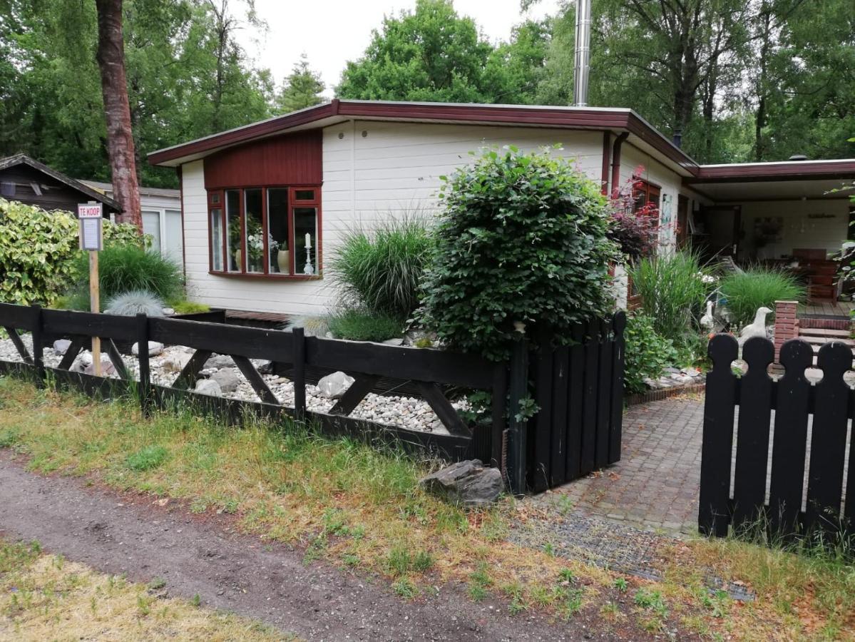 Vila Sfeervol, Ruim En Luxe Chalet In Bosrijke Omgeving Diessen Exteriér fotografie